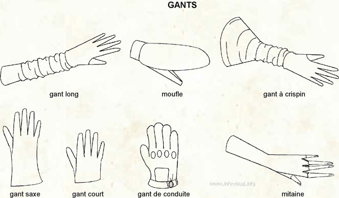Gant (Dictionnaire Visuel)